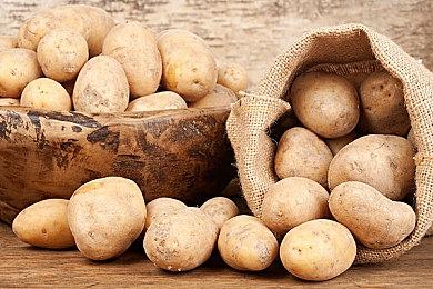 《永恒空间2》大更新发布 推出新飞船和制造系统